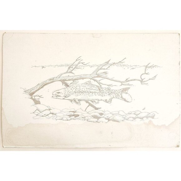 1960-70s Original Art Pencil Drawing Trout Fish Swimming OOAK Unsigned DWWW14 - Picture 2 of 2